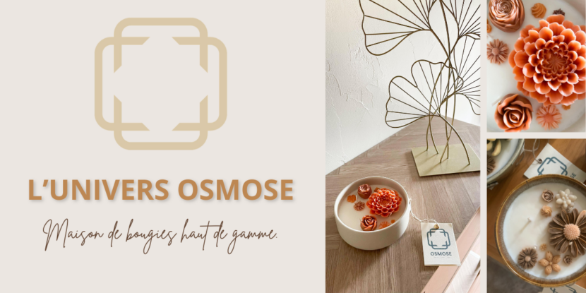 Créations de bougies naturelles Osmose exposées dans un atelier d'artisanat en Bretagne